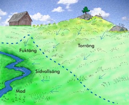 Ängars hydrologi