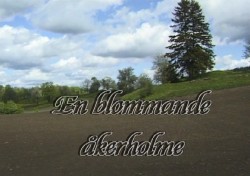 L&auml;nk till video om blommor p&aring; en &aring;kerholme