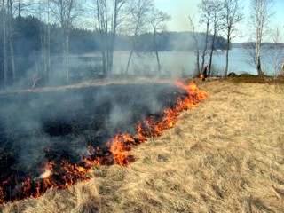 Bränning av äng