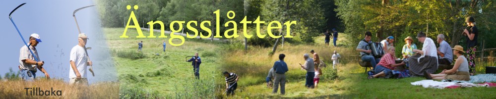Toppbild f&ouml;r &auml;ngssl&aring;ttersidan