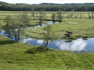 Maden vid Kärtared, Vårgårda