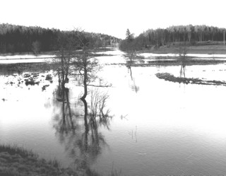 Översvämmad mad vid Kärtared, Vårgårda
